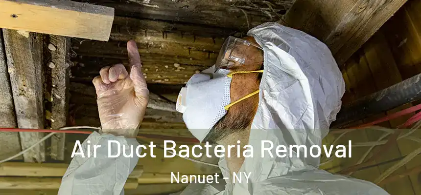  Air Duct Bacteria Removal Nanuet - NY