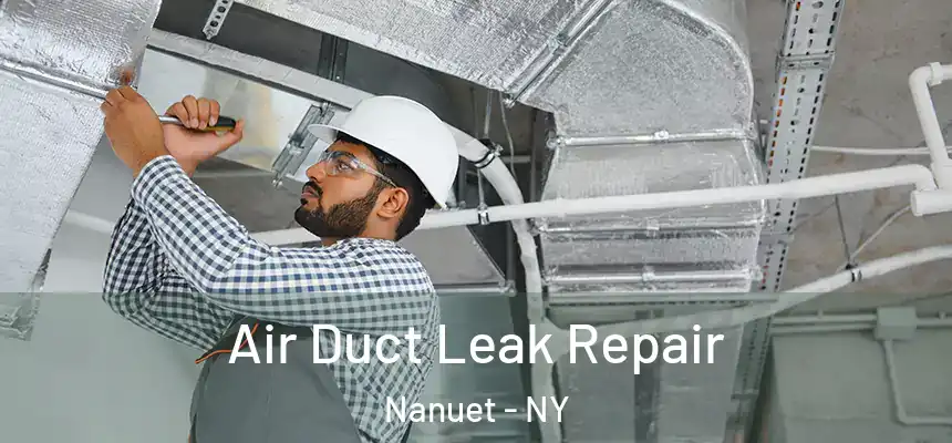  Air Duct Leak Repair Nanuet - NY