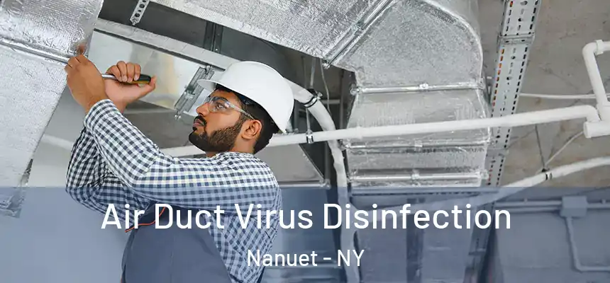  Air Duct Virus Disinfection Nanuet - NY