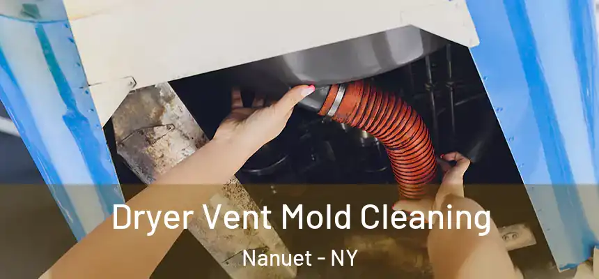  Dryer Vent Mold Cleaning Nanuet - NY