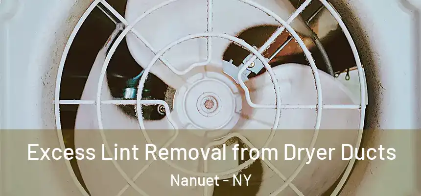  Excess Lint Removal from Dryer Ducts Nanuet - NY