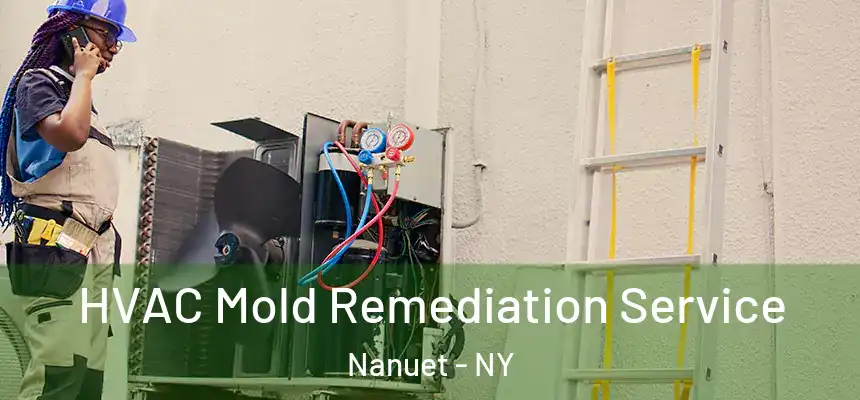  HVAC Mold Remediation Service Nanuet - NY