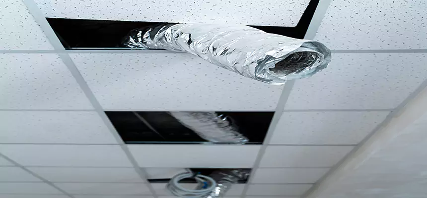 Affordable HVAC Sanitizing After Pest Removal in Nanuet