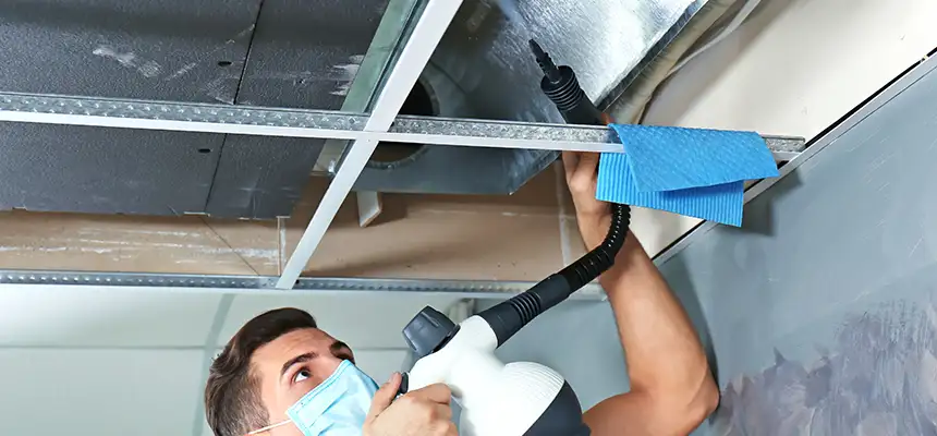 Our Air Duct Rodent Removal Services in Nanuet, NY