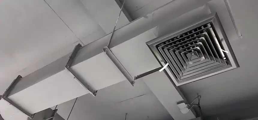 Our Pest Removal From Ducts Services in Nanuet, NY