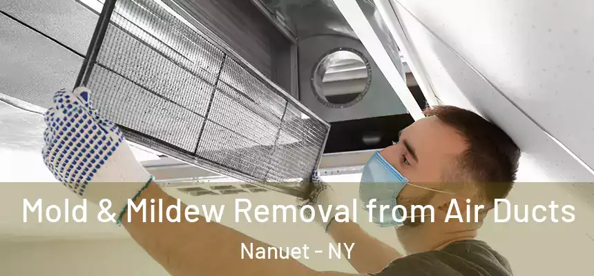 Mold & Mildew Removal from Air Ducts Nanuet - NY