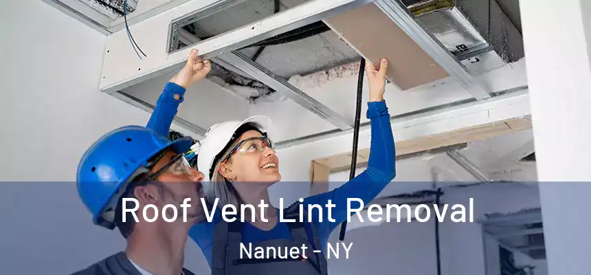  Roof Vent Lint Removal Nanuet - NY