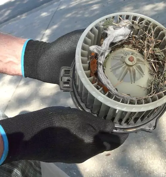 About Air Duct Mice Removal in Nanuet, NY