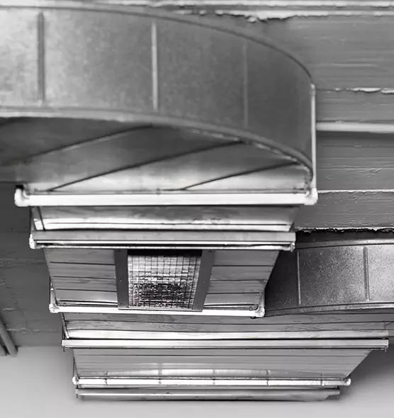 Professional Air Duct Pet Hair Removal in Nanuet, NY