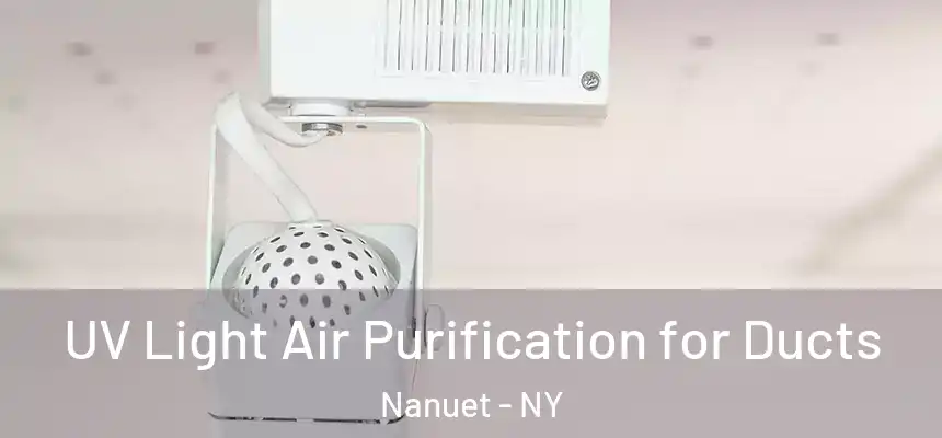  UV Light Air Purification for Ducts Nanuet - NY